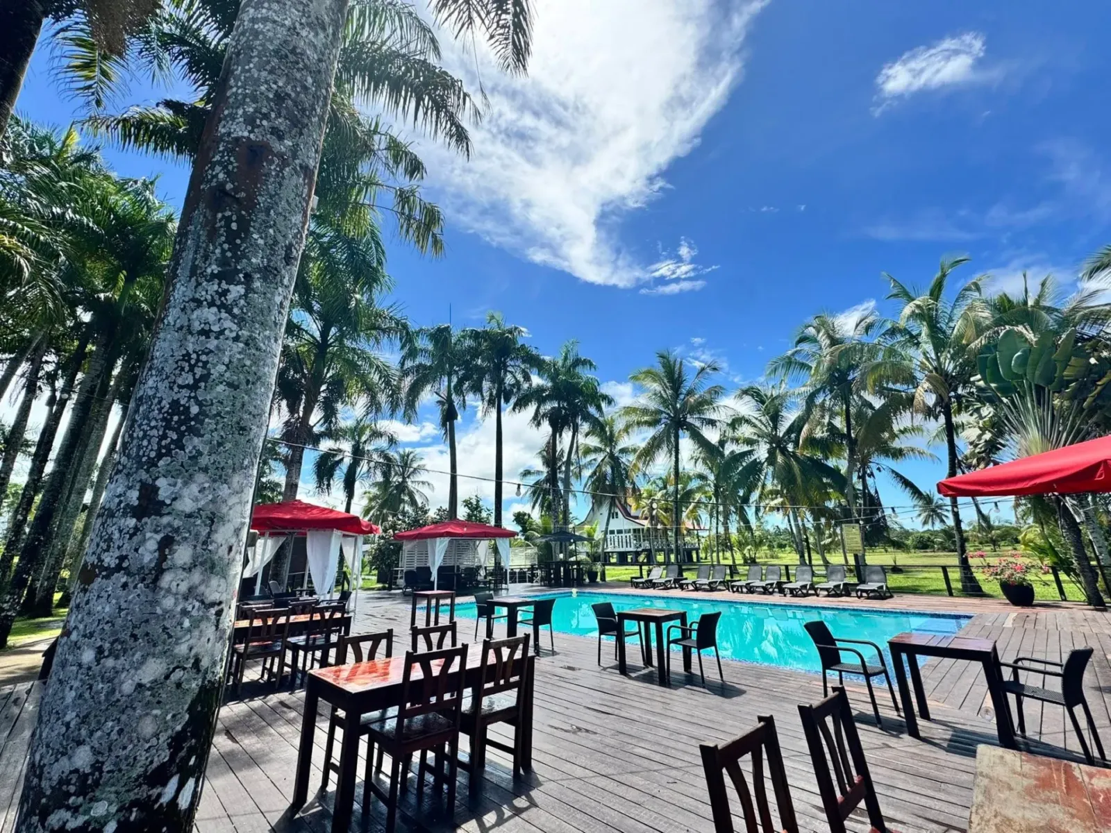 Plantage Resort Frederiksdorp V1