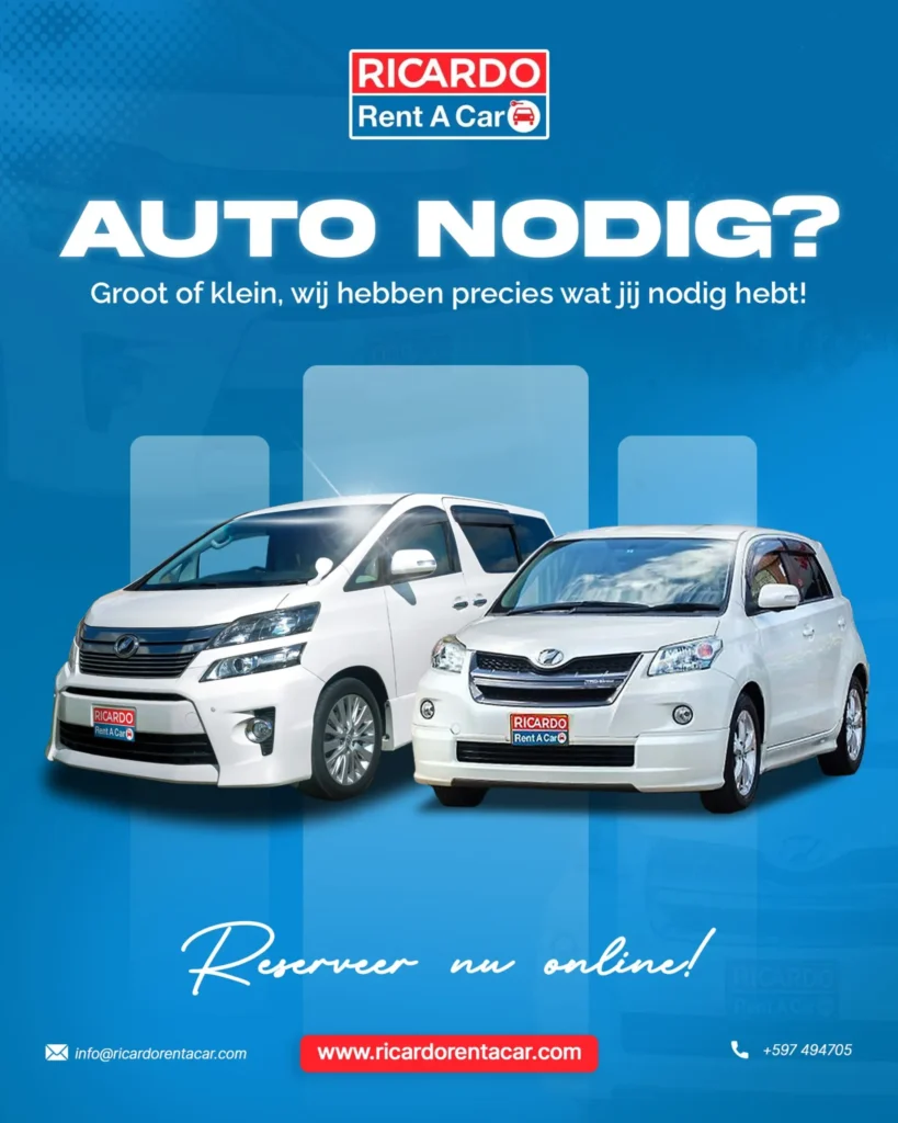Ricardo Rent A Car V2