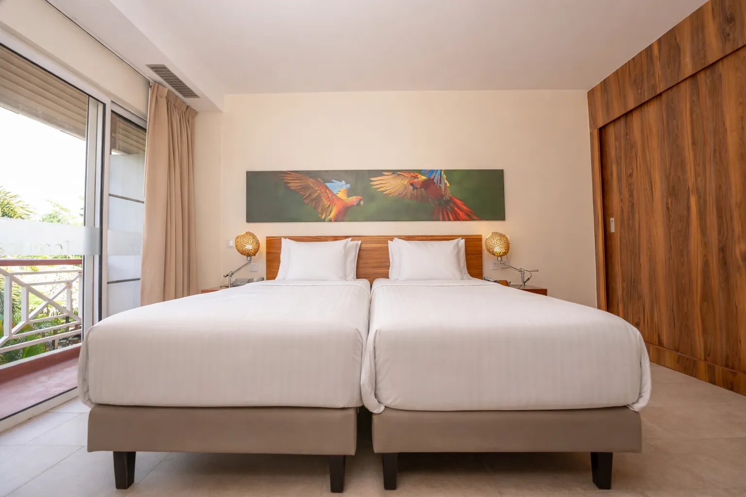 Eco Torarica - Image 07 (January 30, 2026)