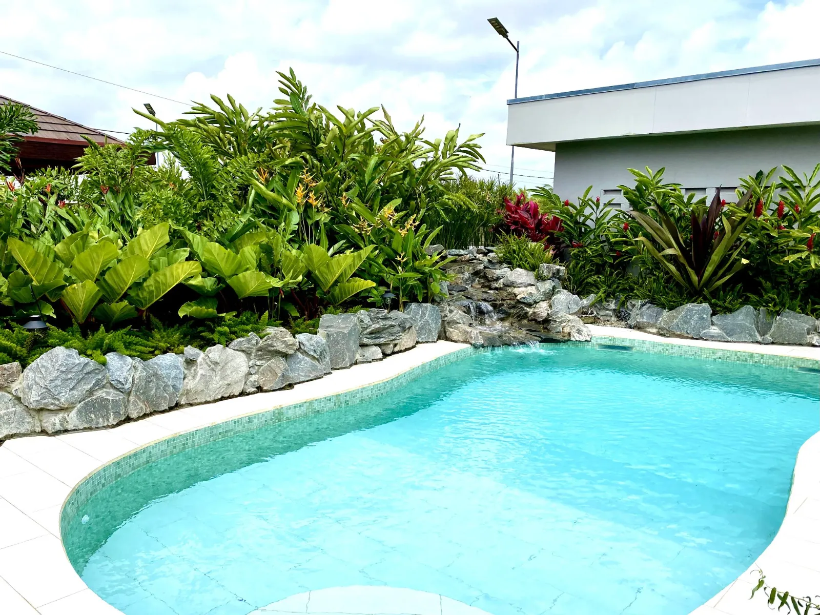 Green Gardens - Image 01 (March 4, 2026)