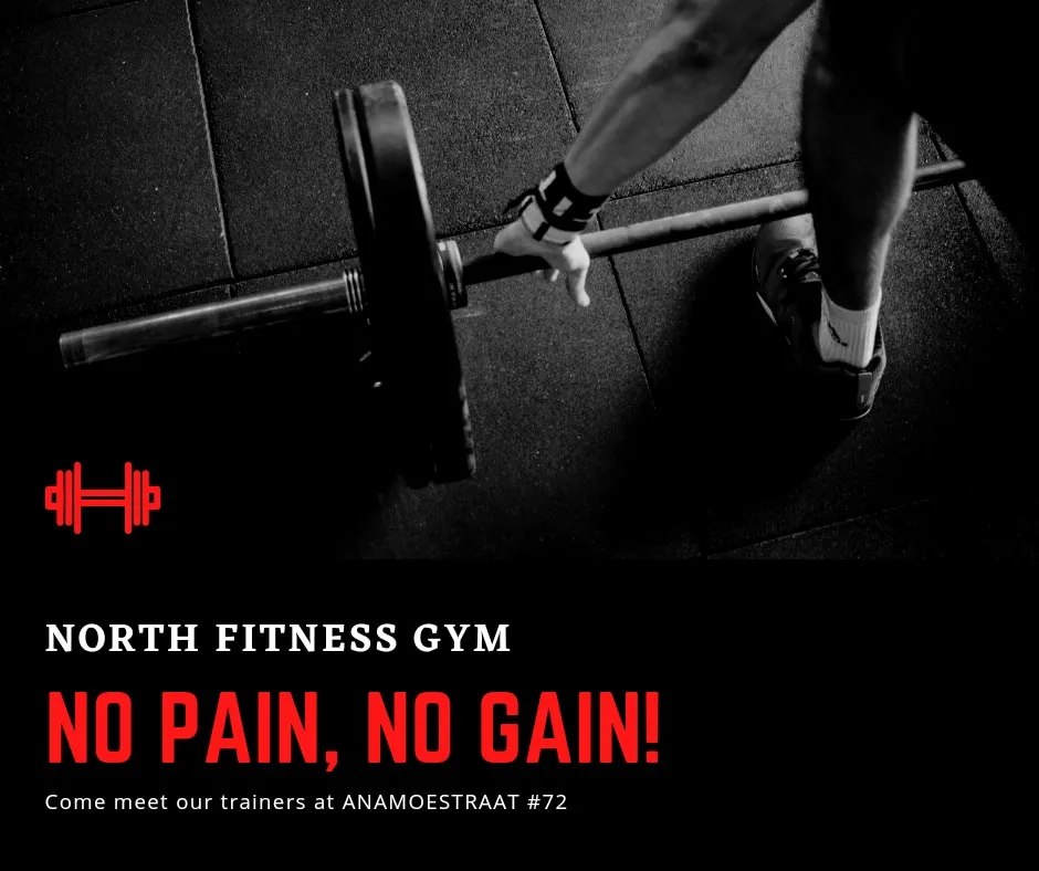 North Fitness Gym - Image 01 (March 1, 2026)