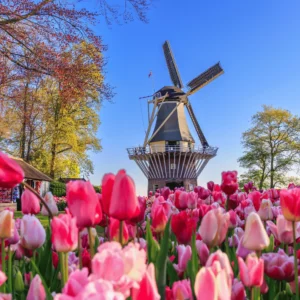 Laparkan Amsterdam V4