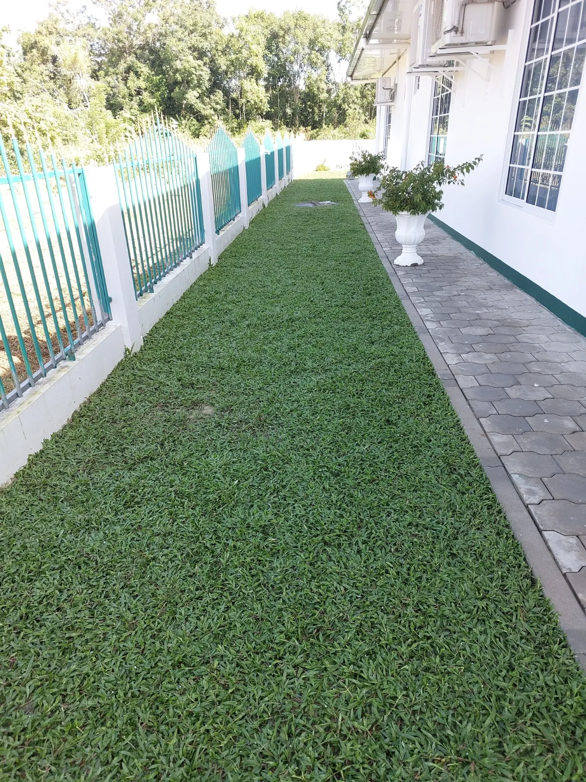 Mahinder plantenbedrijf - Image 02 (January 26, 2026)