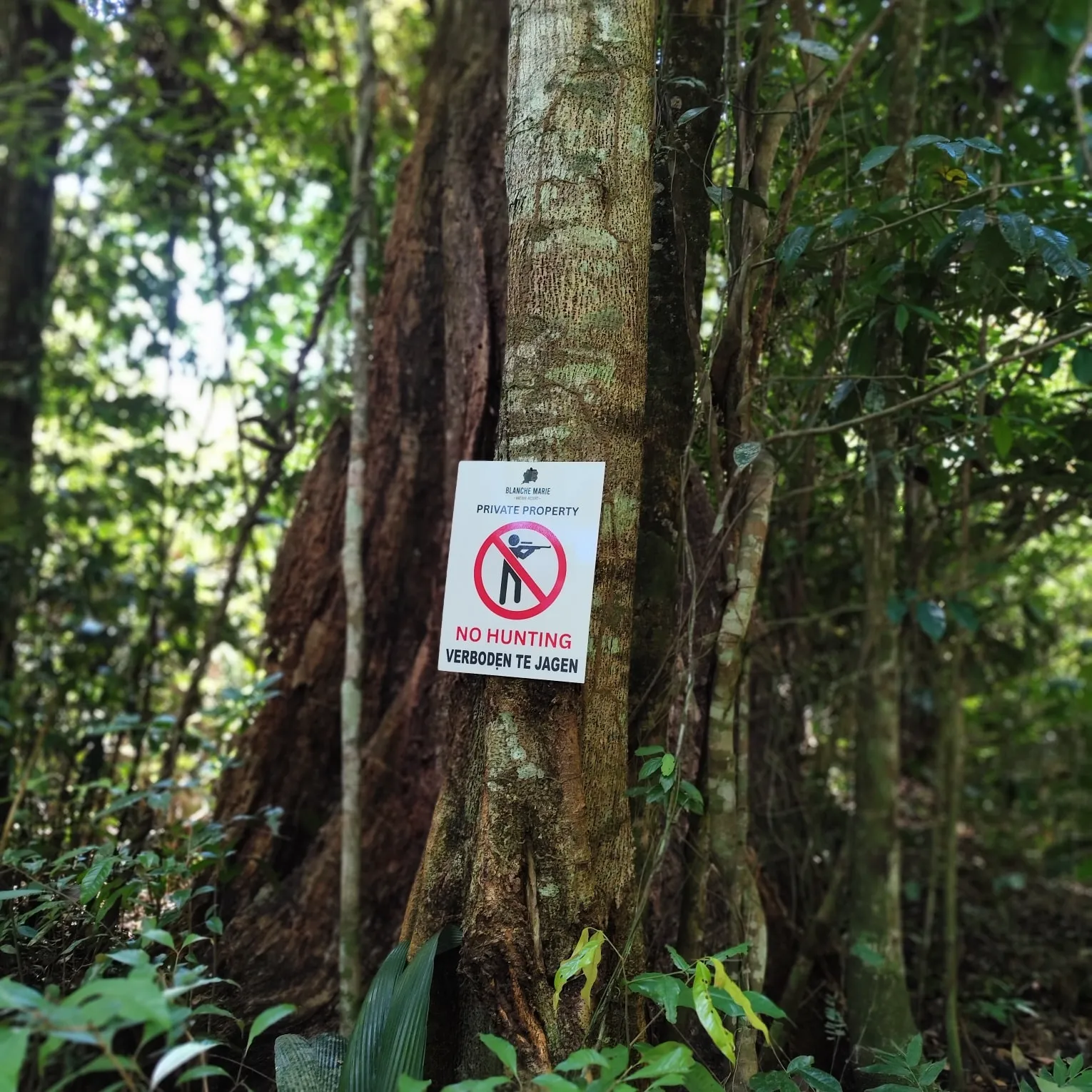 Blanche Marie Nature Resort beschermt de natuur - Jagen is verboden