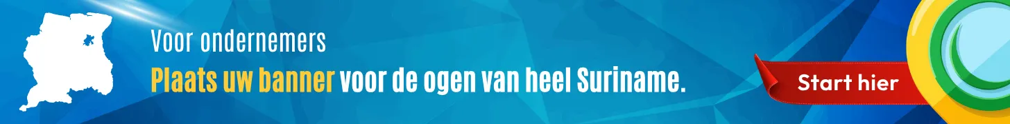 Pro Leader – Social Media Onderhoud 1456×180 - Image 03 (September 10, 2026)