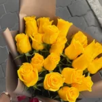 Auto Draft - Image 01 (February 27, 2026)