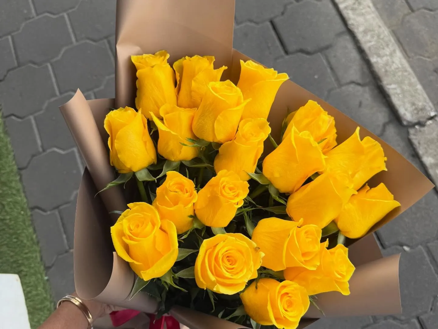 Auto Draft - Image 01 (February 27, 2026)