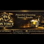 Lion Force Cleaning Services - Image 01 (February 20, 2026)