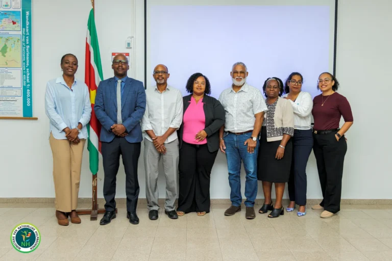 Nieuwe fase voor GEF GOLD+ project in Suriname - Image 01 (March 4, 2026)