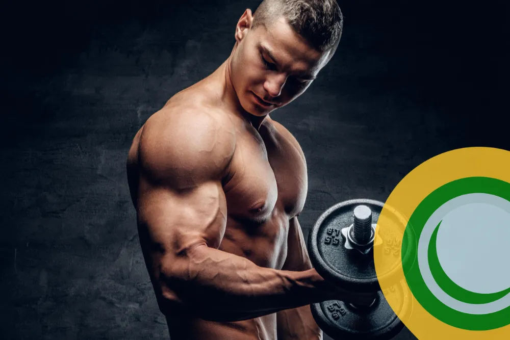 Cover 1000x667 Cat Bodybuilding 01 Ia2g - Image 1734 (March 1, 2026)