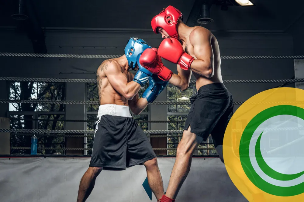 Cover 1000x667 Cat Boksen 01 92wv - Image 1732 (March 1, 2026)