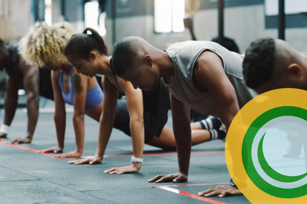 Cover 1000x667 Cat Bootcamp 01 0xvl - Image 1735 (March 1, 2026)