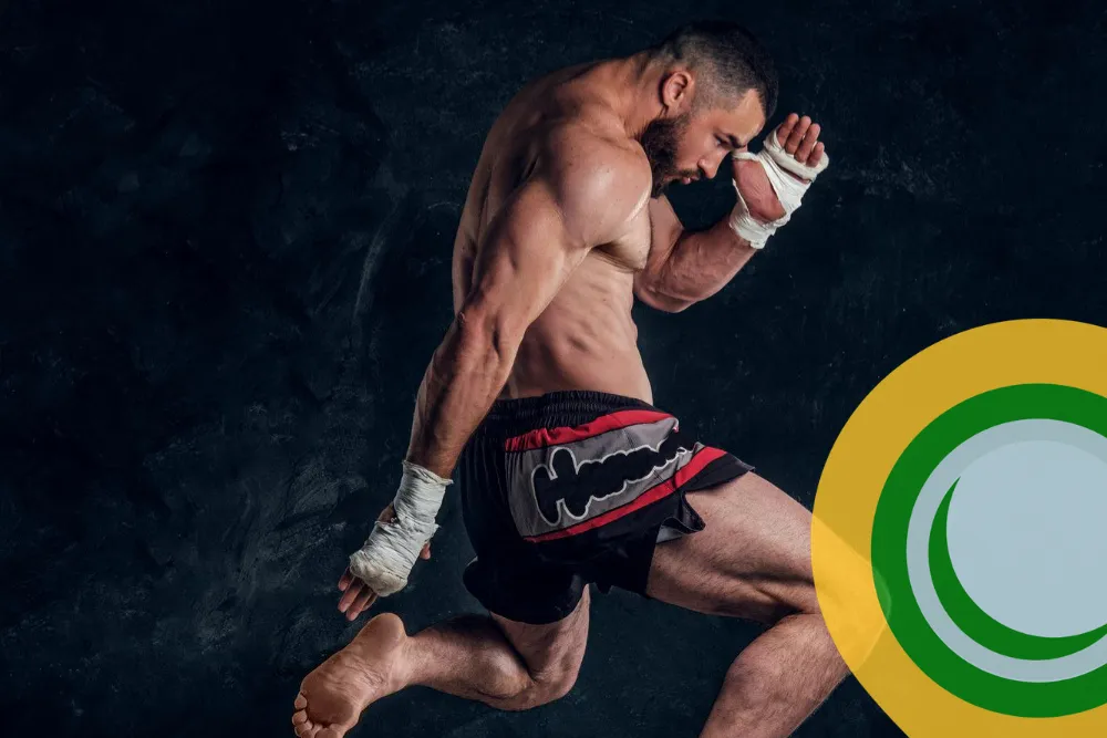 Cover 1000x667 Cat Kickboksen 01 Pxaw - Image 1733 (March 1, 2026)