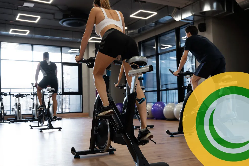 Cover 1000x667 Cat Spinning 01 Bbg4 - Image 1742 (March 2, 2026)