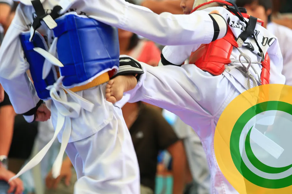 Cover 1000x667 Cat Taekwondo 01 Vhtx - Image 1734 (March 1, 2026)