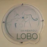 Auto Draft - Image 01 (April 9, 2026)