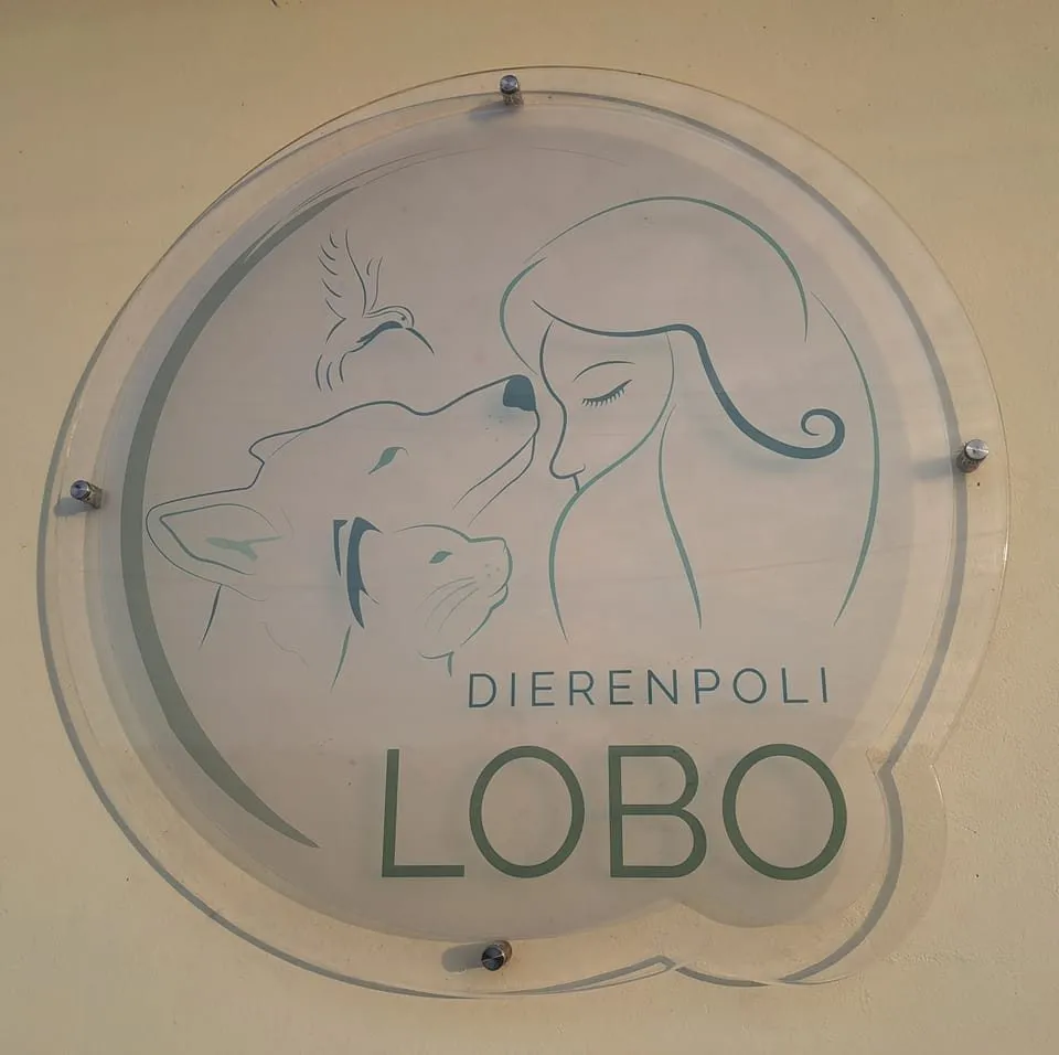 Auto Draft - Image 01 (April 9, 2026)